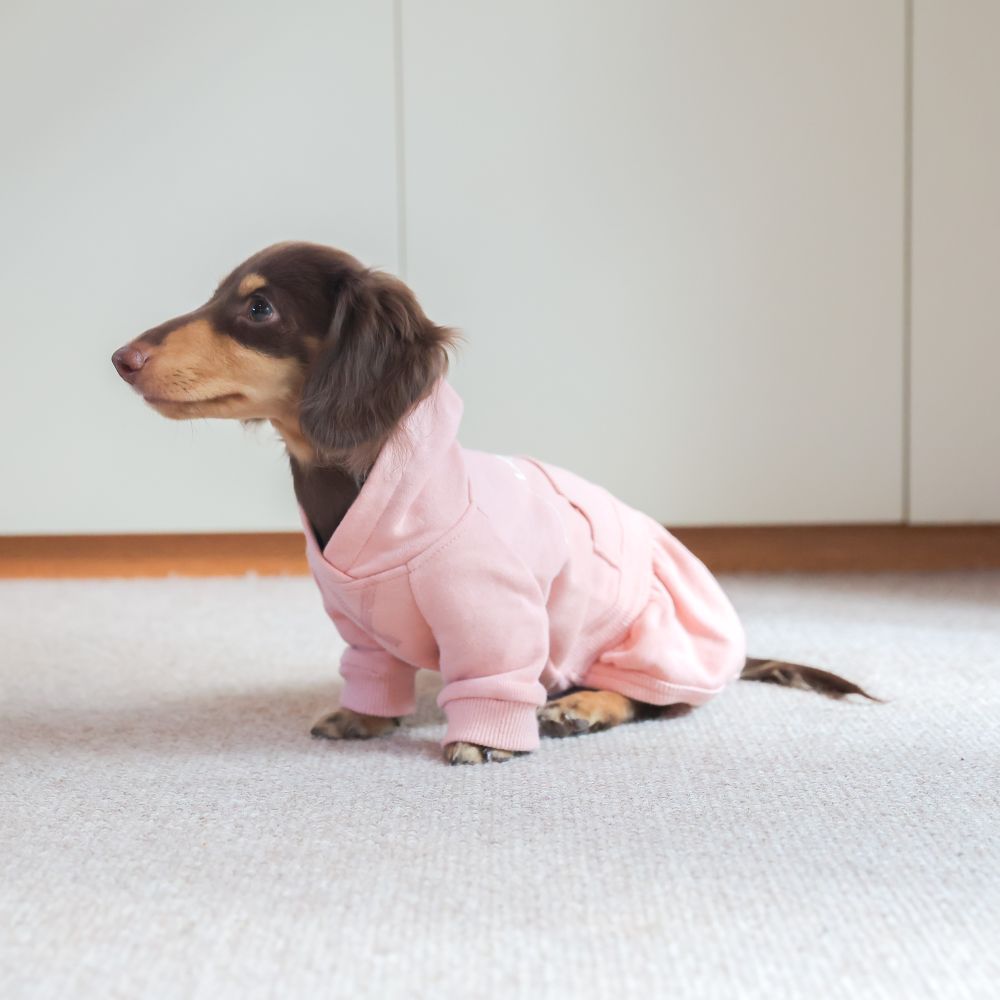 Das "Sakura" Onepiece | Dackel-Fit